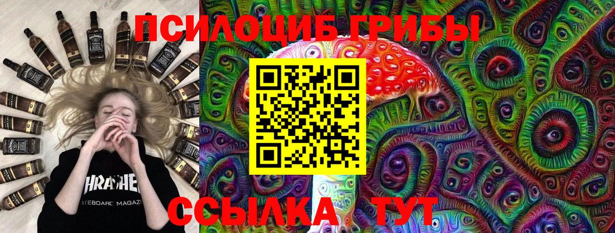 Кохма  Псилоцибиновые грибы MAGIC MUSHROOMS  Вход с VPN  как найти наркотики  Галлюциногенные грибы Psilocybine cubensis 
