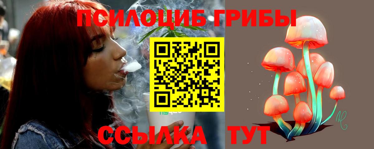 Псилоцибиновые грибы MAGIC MUSHROOMS Кохма